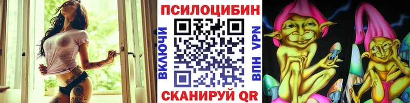 Псилоцибиновые грибы Psilocybine cubensis  ОМГ ОМГ ТОР  Сортавала 